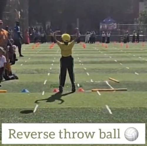 Primary Section: Cub Bulbul Oath Ceremony Std II>
              <div class=