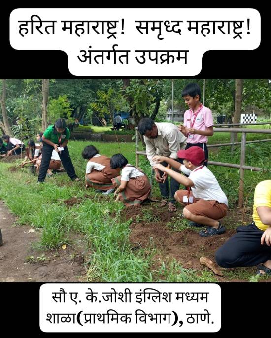 Primary Section : Tree Plantation 2025