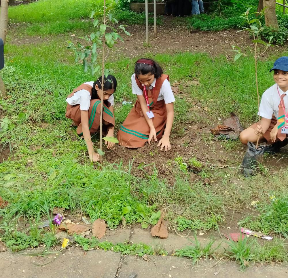Primary Section: Janmashtami Celebration
