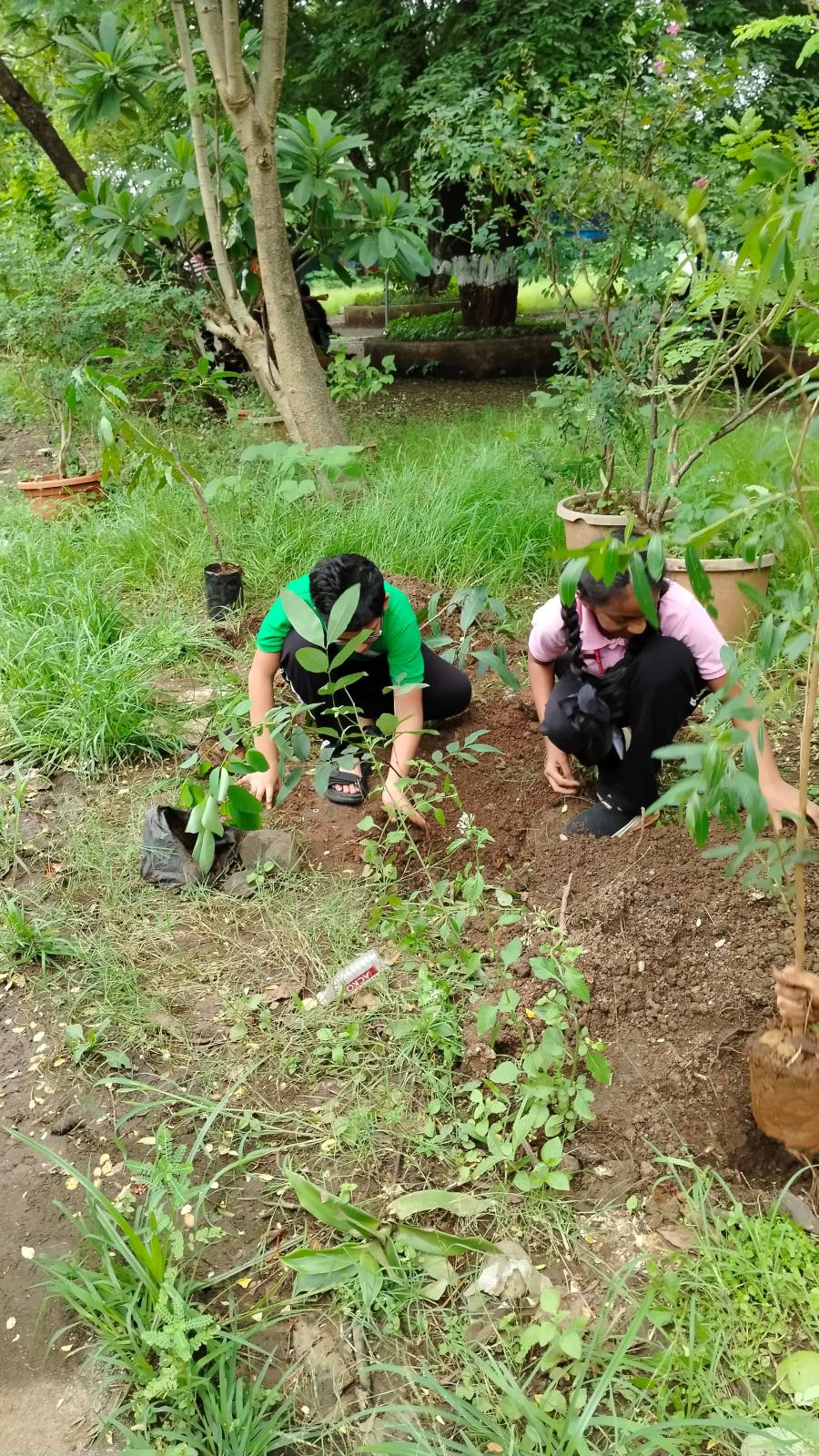 Primary Section: Janmashtami